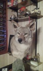 20150826_173606.jpg