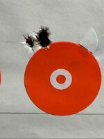 308.JPG