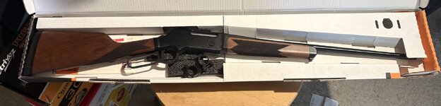 IMG_4498.jpeg