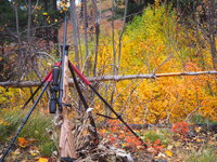 PA161992.JPG