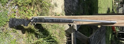 IMG_4506.jpeg