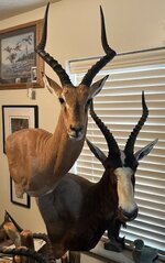 IMG_4021.jpeg
