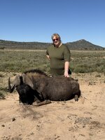 SA 2.0 Susan's Black Wildebeest 4.jpeg