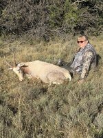 SA 2.0 Susan's White Blesbok 2.jpeg