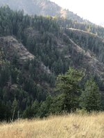 IMG_4264.jpeg