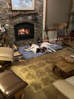 IMG_0106.jpeg