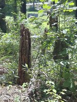 20260711_121917.jpg