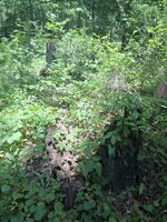 20260711_121725.jpg