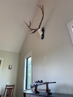 IMG_4436.jpeg IMG_4436.jpeg