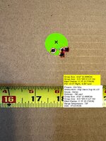 IMG_7033.jpeg