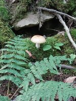 20260723_090344.jpg