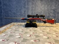 IMG_6984.jpeg