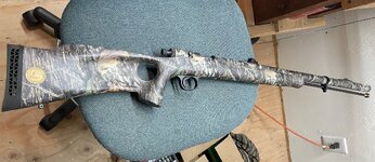 IMG_0551.jpeg