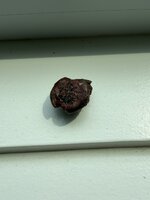 IMG_8804.jpeg