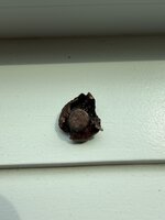 IMG_8805.jpeg