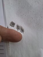 20260802_152924.jpg