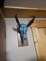 20260805_194230.jpg