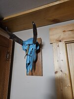 20260805_194221.jpg