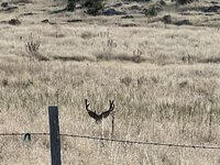 IMG_0661.jpeg