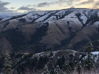IMG_3121.jpeg