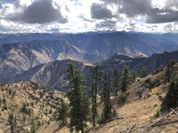 IMG_4239.jpeg