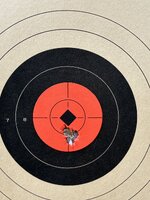 Suppressed 1 of 4.JPG