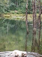 IMG_20260817_085414594 (1).jpg