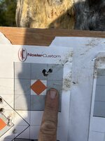IMG_5413.jpeg