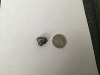 IMG_0949.jpeg