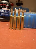 IMG_7073.jpeg