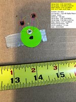 IMG_7177.jpeg