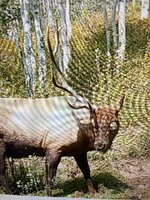 IMG_3926.jpeg