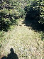 IMG_20260826_080014418.jpg
