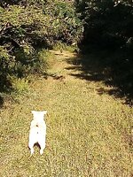 IMG_20260826_080035468.jpg