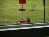 DSCN2542.JPG
