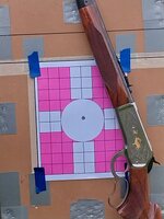 Target at 100.jpg