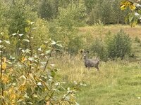 IMG_1142.jpeg
