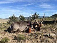 IMG_0398.jpeg