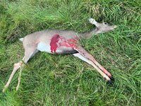 IMG_7259.jpeg