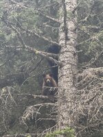 IMG_4129.jpeg