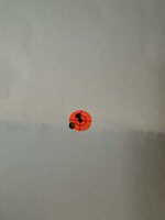 IMG_8628.jpeg