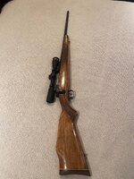 IMG_0885.jpeg