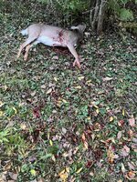 IMG_7326.jpeg