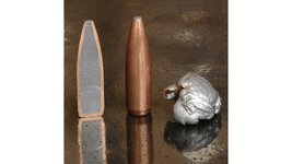 fusioncutawaybullet.jpg