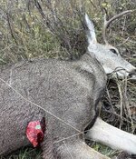 IMG_4507.jpeg IMG_4507.jpeg