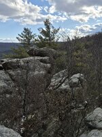 20260111_142441.jpg