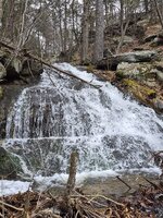 20260315_152731.jpg