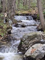 20260315_153720.jpg