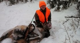 Mark's 1st elk (640x346).jpg