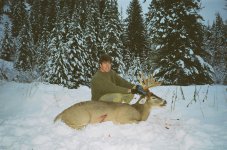 2006 Whitetail from Curran Creek Ranch.jpg